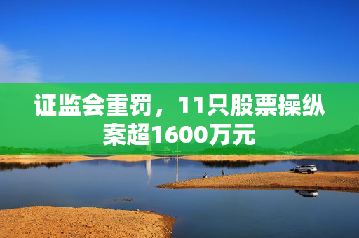 证监会重罚，11只股票操纵案超1600万元