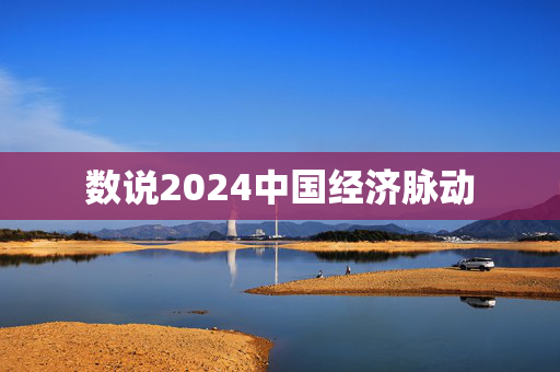 数说2024中国经济脉动