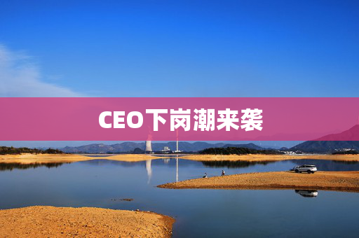 CEO下岗潮来袭