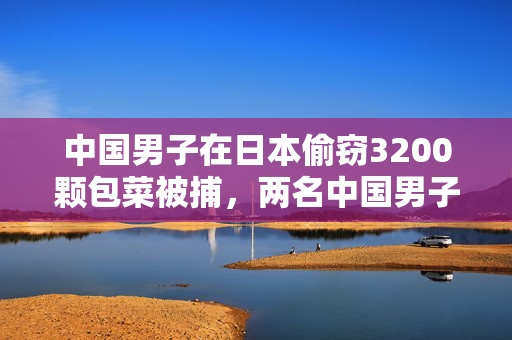 中国男子在日本偷窃3200颗包菜被捕，两名中国男子因偷窃3200颗包菜被日本警方逮捕，日本警方逮捕两名中国男子，涉嫌偷窃3200颗包菜，中国男子因偷窃3200颗包菜被日本警方逮捕，两名中国男子被日本警方逮捕，偷窃3200颗包菜