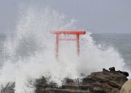 随着火车服务恢复，台风安布尔离开日本，没有重大损失的报道